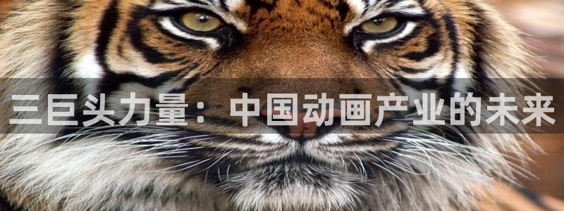 风车动漫和樱花动漫：三巨头力量：中国动画产业的未来