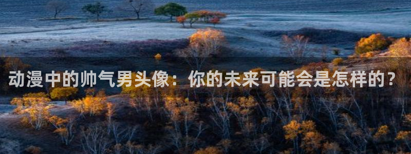 风车动漫在线观看播放免费动漫：动漫中的帅气男头像：你的未来可能会是怎样的？