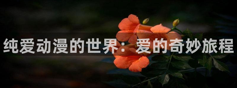 风车动漫动漫啦：纯爱动漫的世界：爱的奇妙旅程