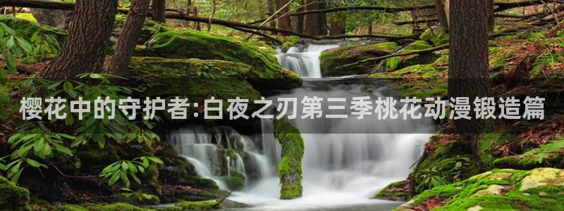 风车动漫最新网址：樱花中的守护者:白夜之刃第三季桃花动漫锻造篇