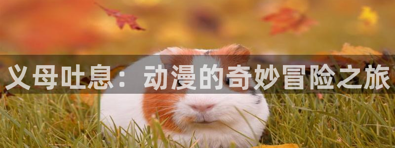 风车动漫在线高清观看：义母吐息：动漫的奇妙冒险之旅