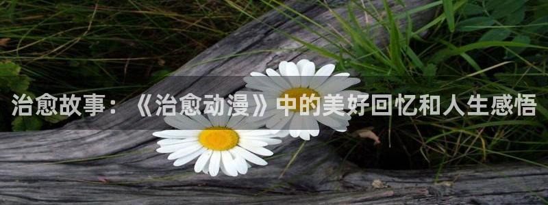 风车动漫(p)专注动漫的门户网站：治愈故事：《治愈动漫》中的美好回忆和人生感悟