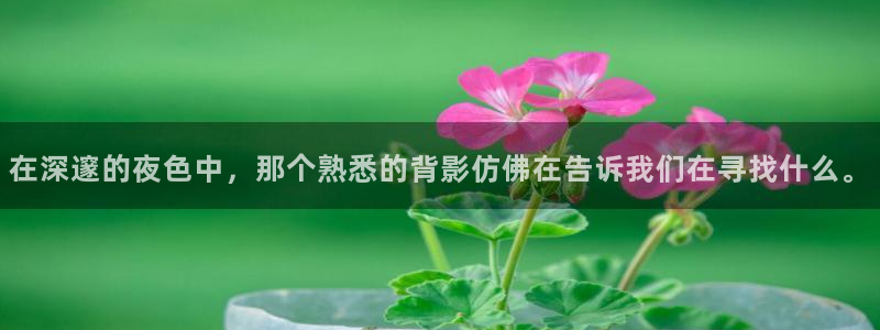 非风车动漫：在深邃的夜色中，那个熟悉的背影仿佛在告诉我们在寻找什么。